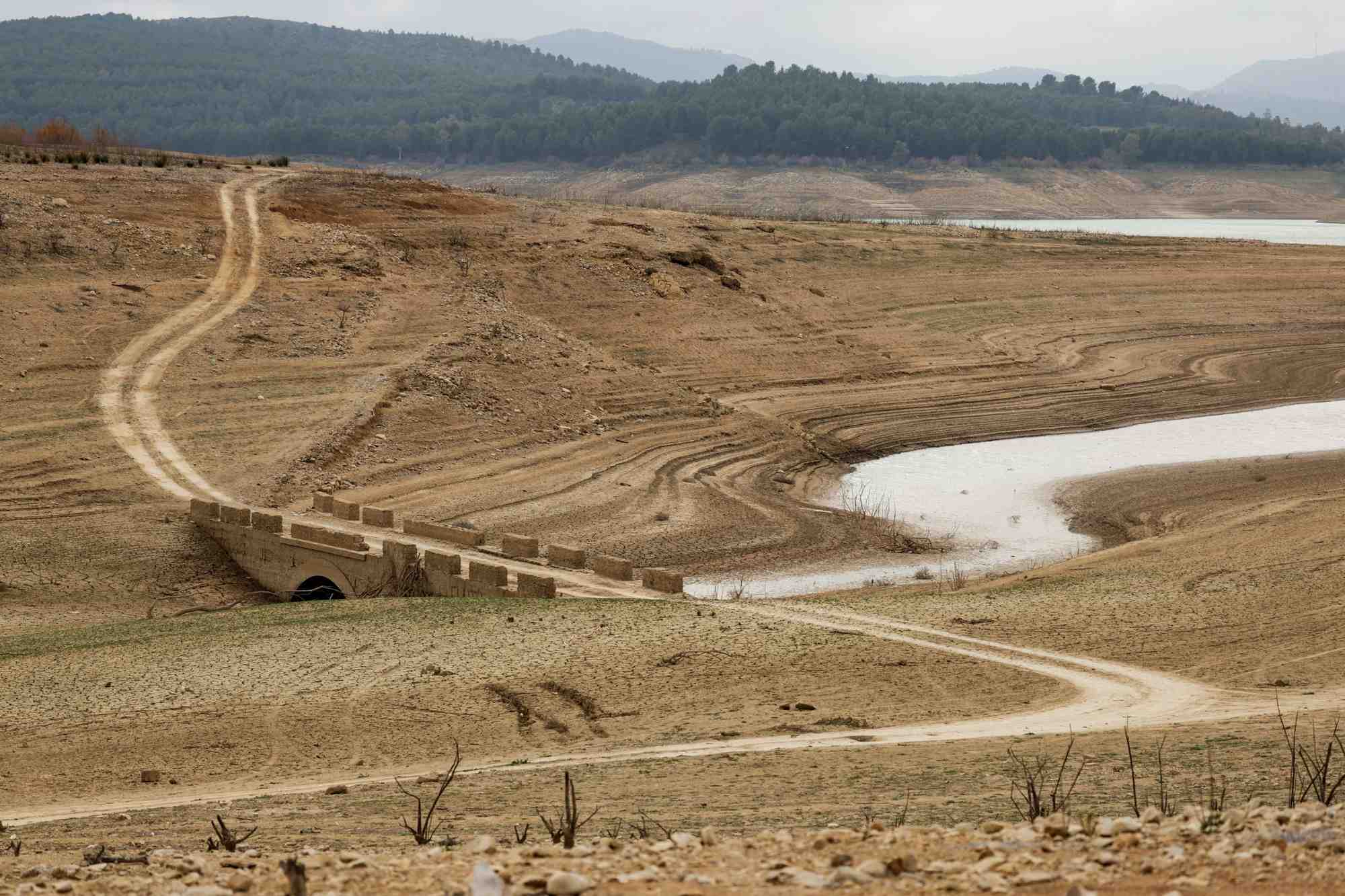 La region de malaga, dans le sud de l'espagne, frappee par la secheresse