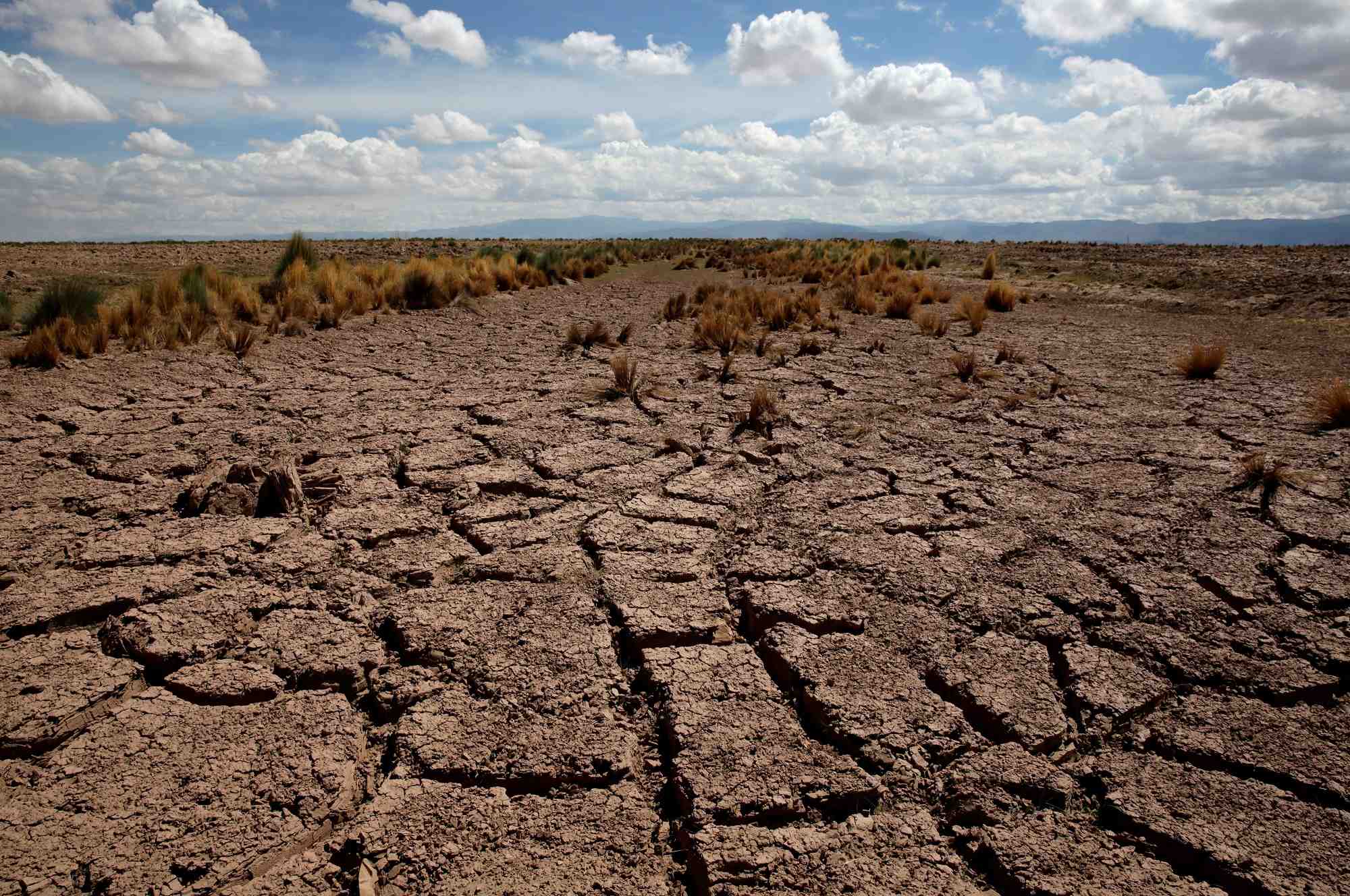 Le climat des prochaines décennies sera fortement différent de celui d'aujourd'hui, ces différences allant en croissant de manière rapide et irrémédiable, au moins dans un premier temps.