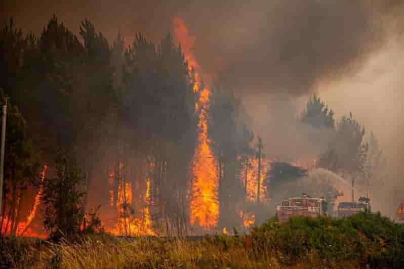 France: plus de 10.000 hectares de foret brules en gironde