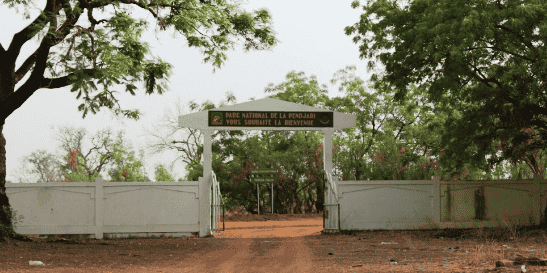 Parc national de la Pendjari Bénin