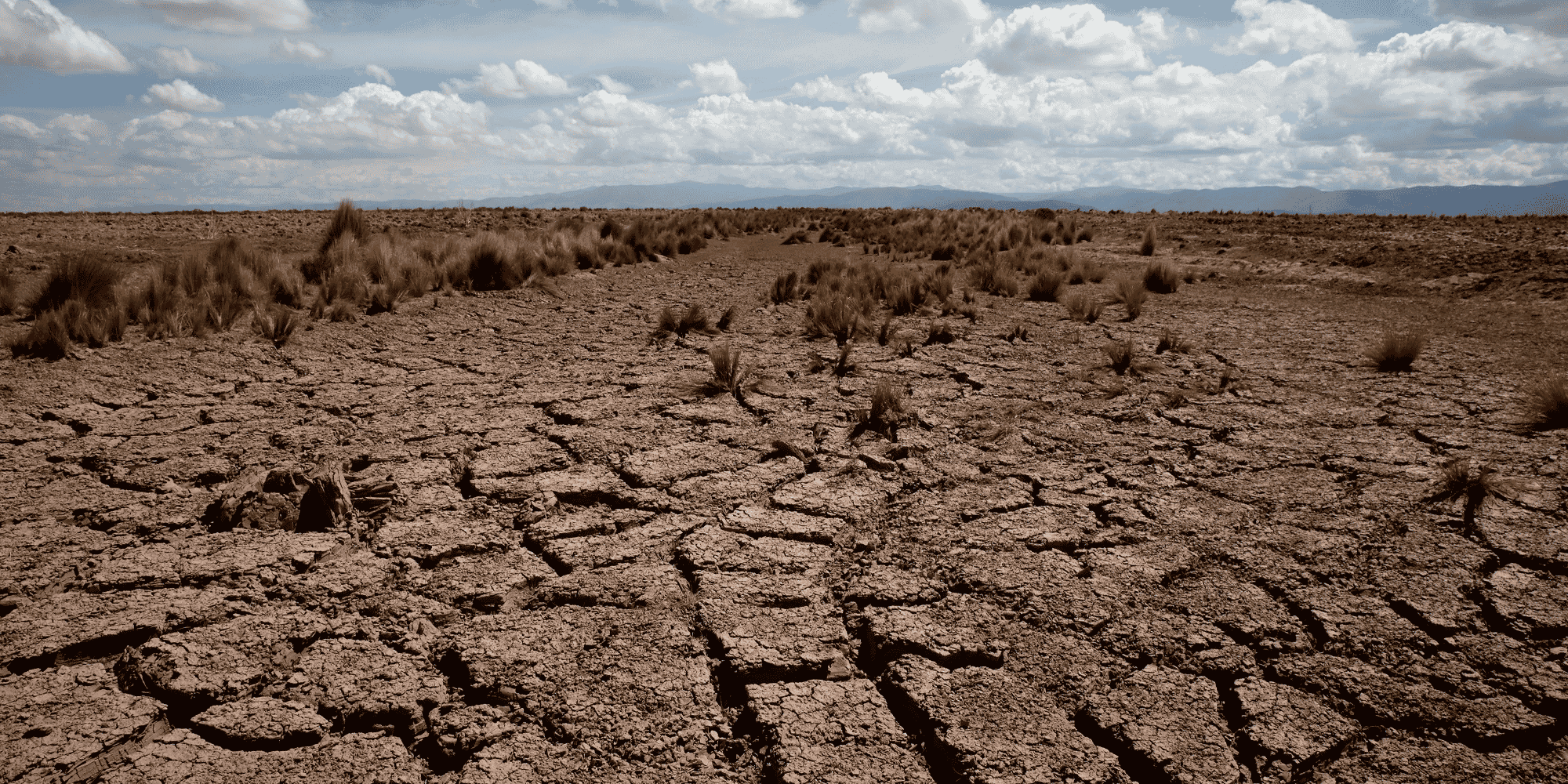 climat, sécheresse, réchauffement climatique, Bolivie