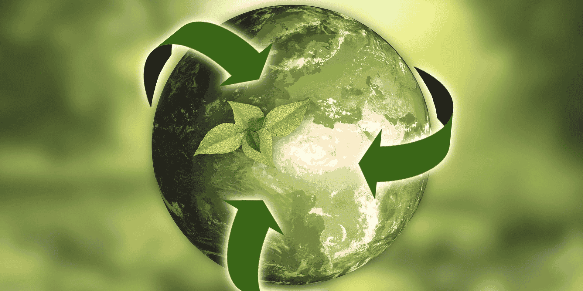économie circulaire