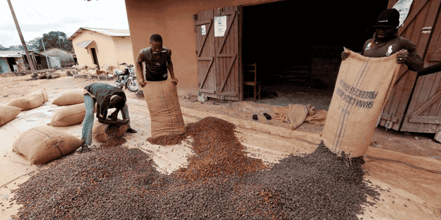 Ghana cacao