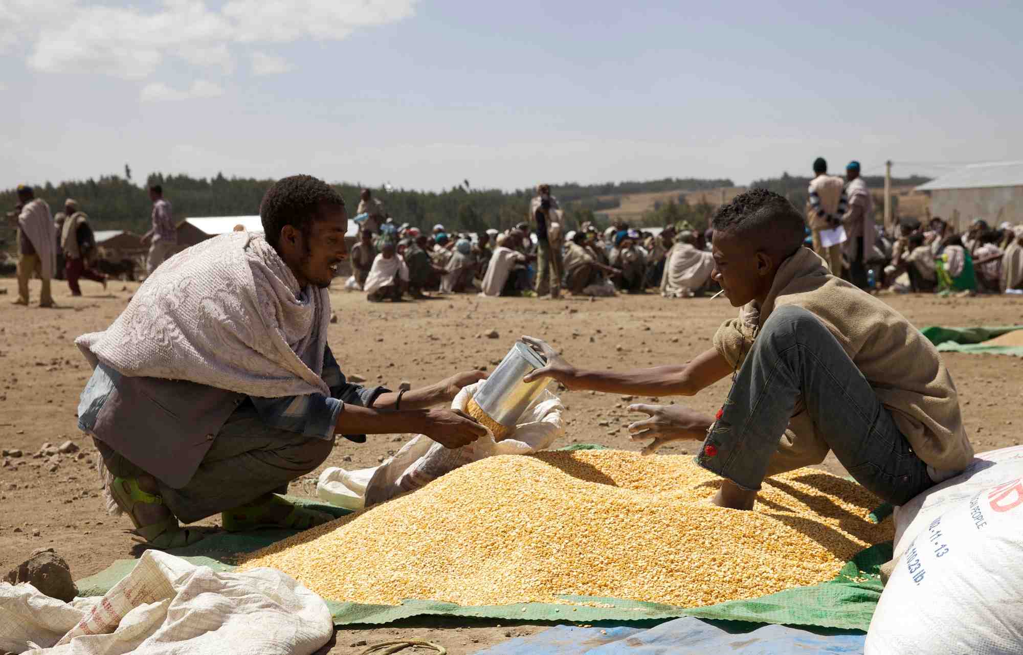 Ethiopie, aide humanitaire, famine, phénomène El Niño, sécheresse, récoltes, rivières asséchées, bétail, Banque mondiale, tourisme, Addis Abeba, conflit syrien, crise des réfugiés, agriculture de subsistance, faim, Care International, médecin, Etats-Unis, Union européenne, Nations unies,
