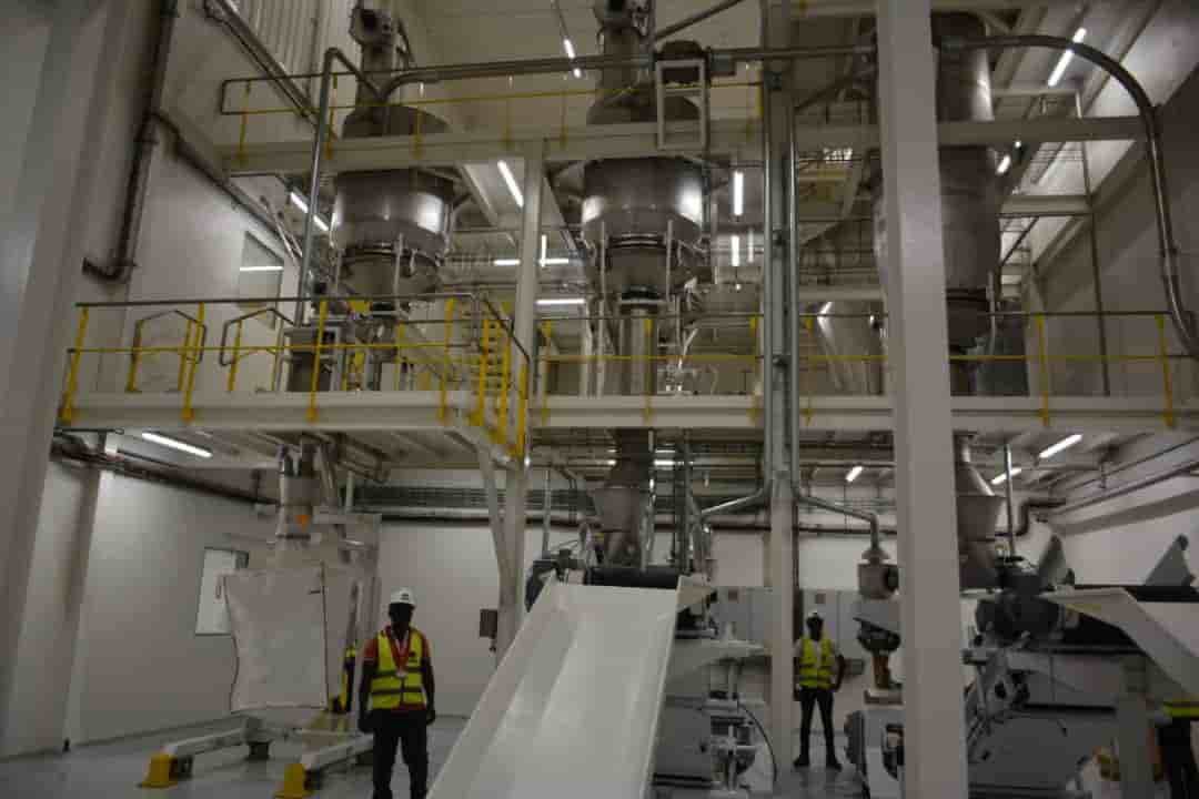 usine cacao