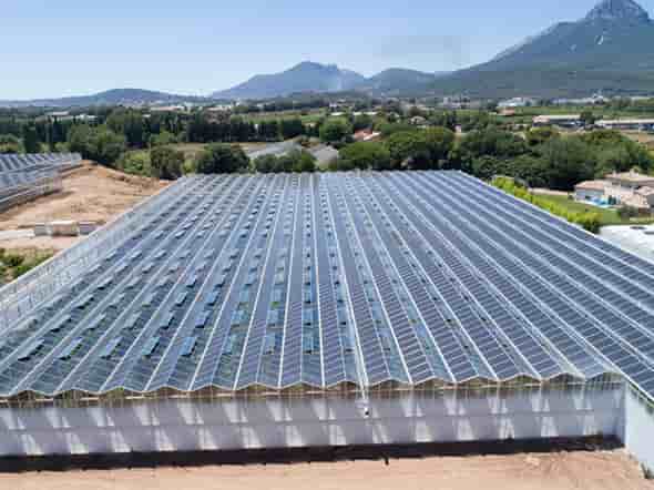Les serres photovoltaïques de REDEN Solar