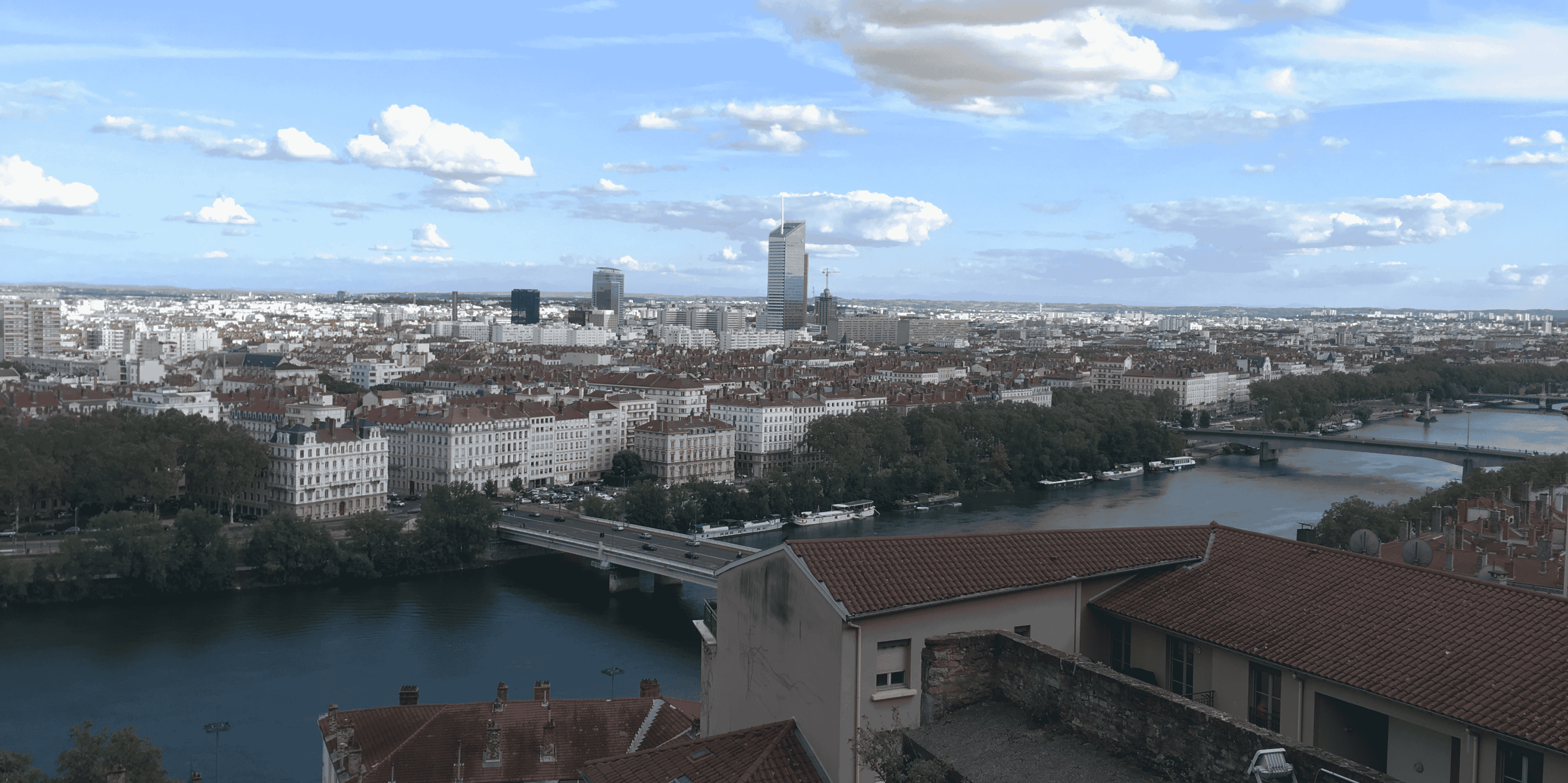 Lyon vue generale rive Rhone