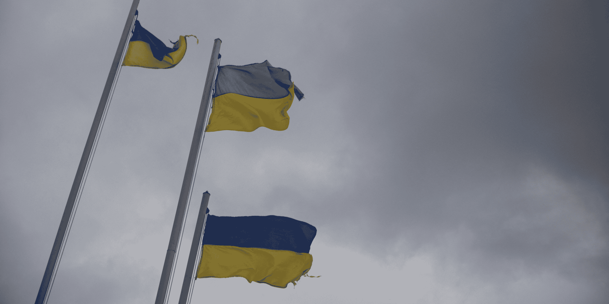 Les ministres des finances du g7 promettent plus de 24 milliards de dollars a l'ukraine