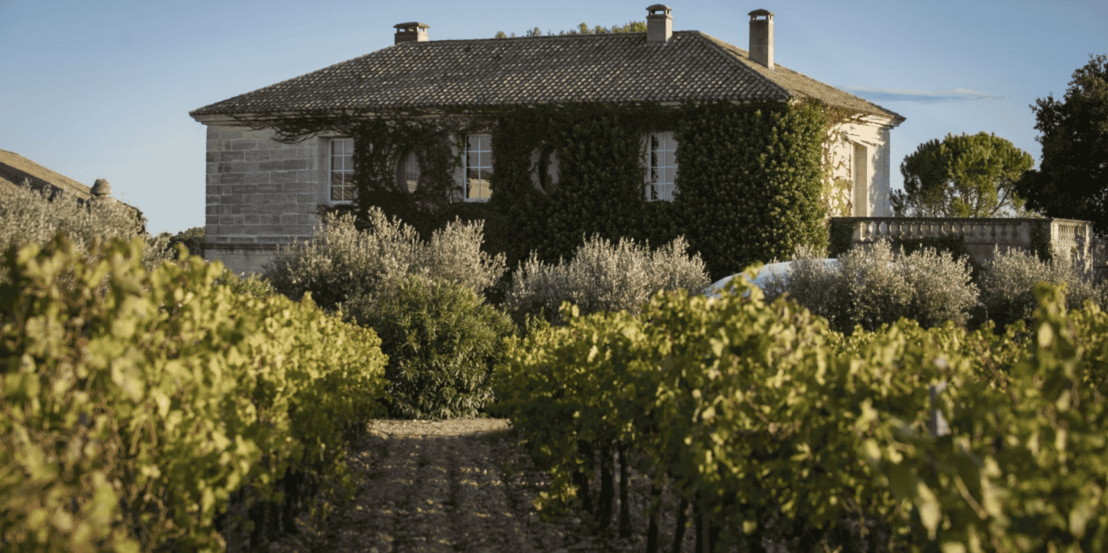 Château Puech Haut, à Saint-Drézéry (34)