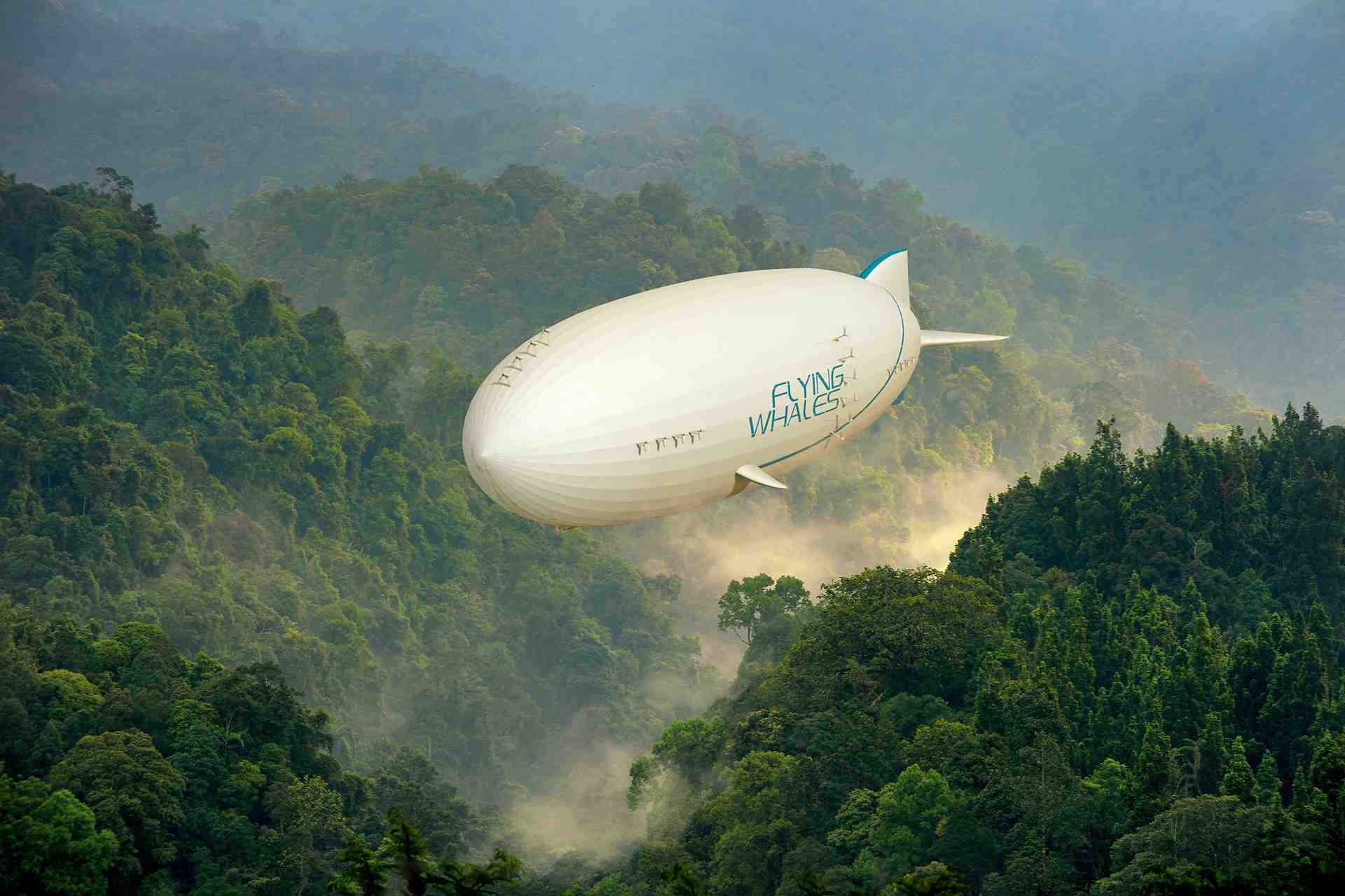 Flying Whales