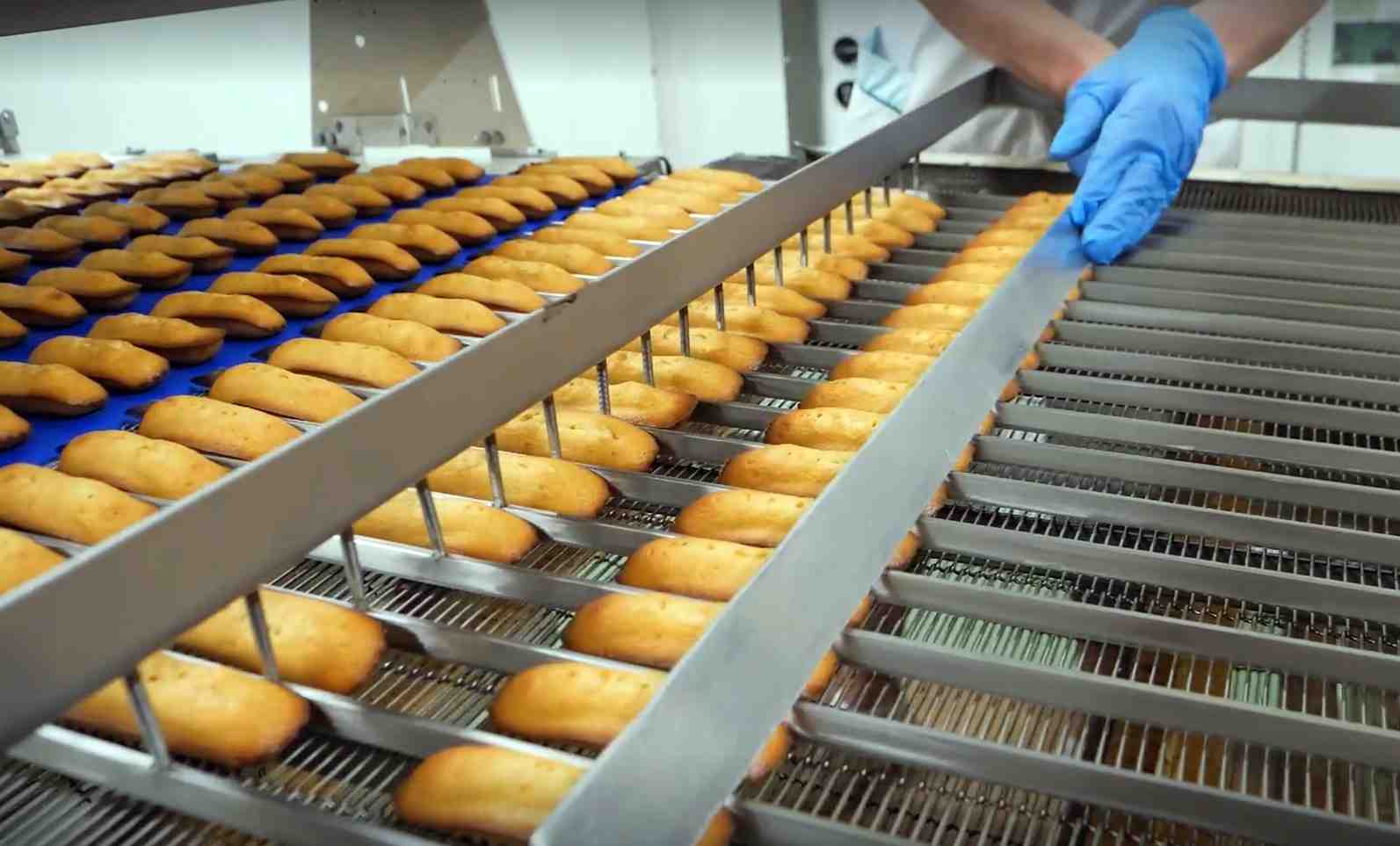 L'usine de 3.000 m2 de Mistral, installée à Semur-en-Auxois depuis 1974, produit autour de 1,2 million de boîtes de biscuits par an.