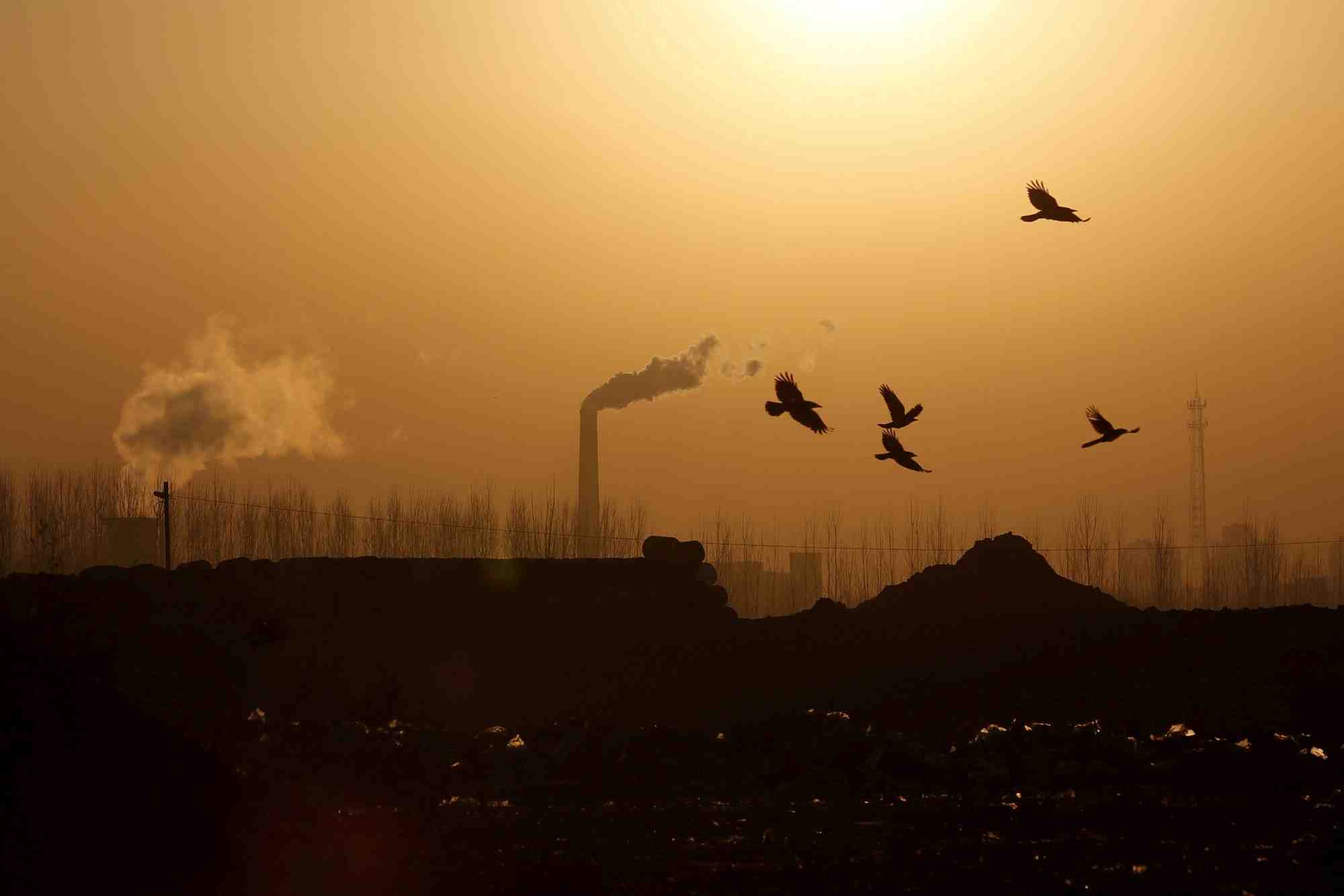 L'ue et la chine s'echarpent apres l'echec des negociations du g20