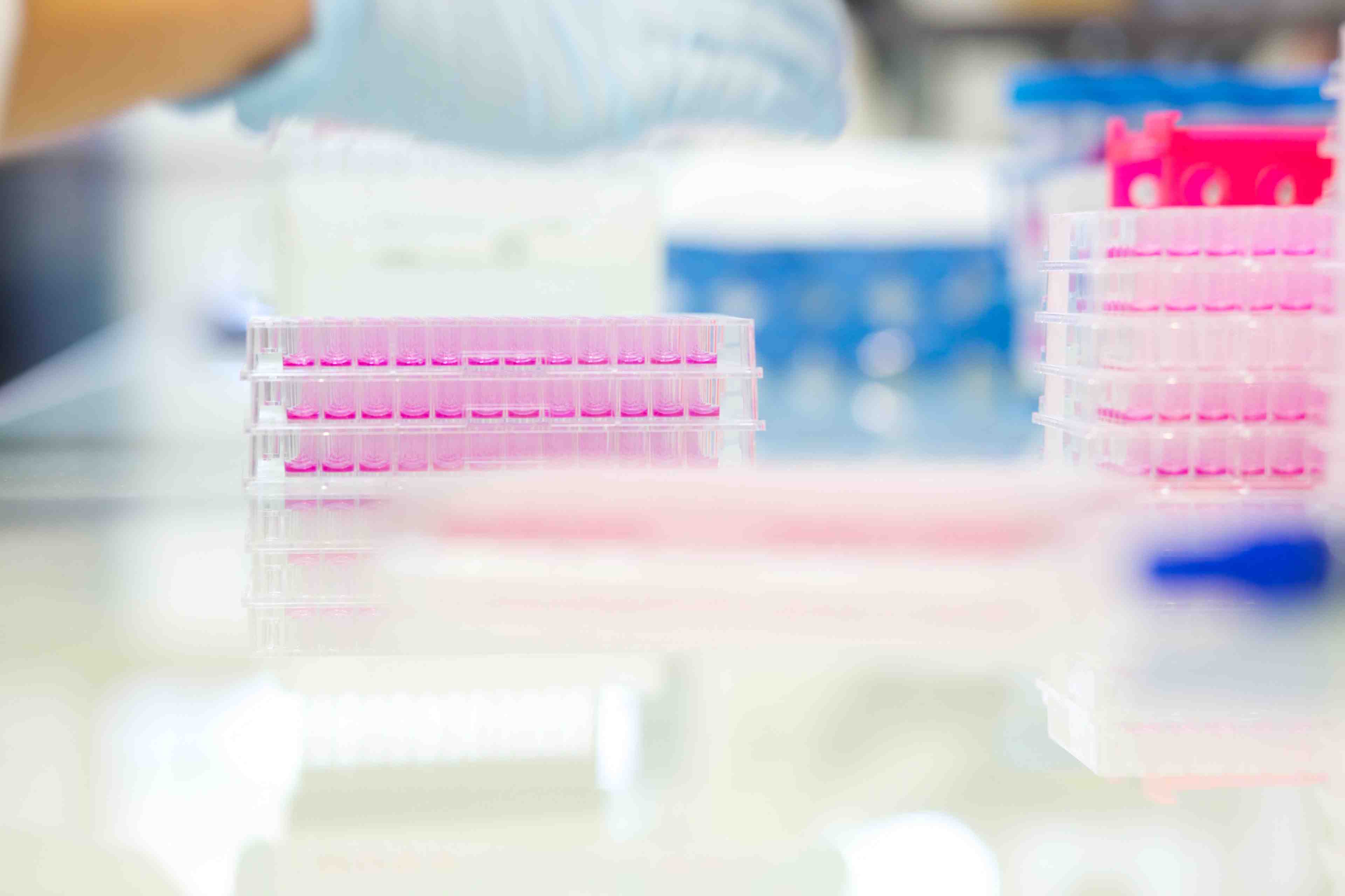 ImChecks Therapeutics