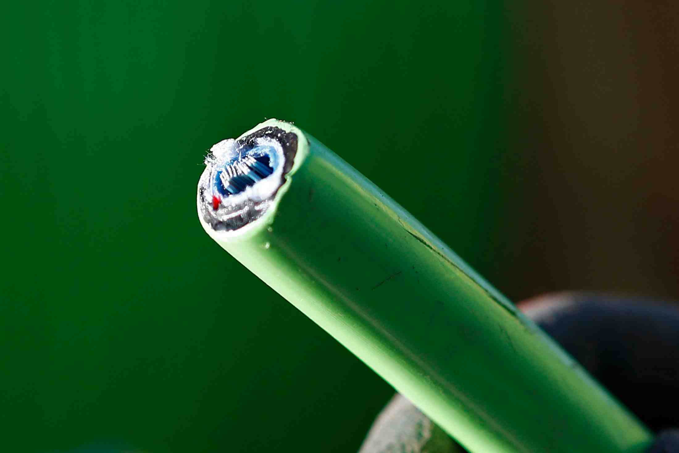 Cable dénudé de fibre optique / Internet, câble, optic fiber