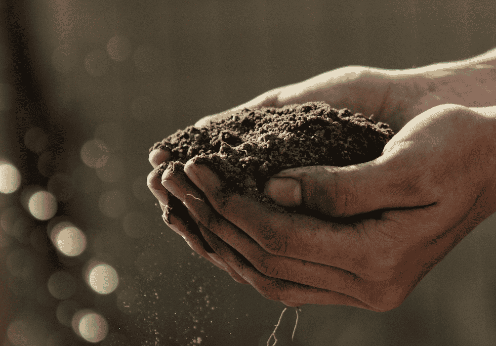 Agriculture