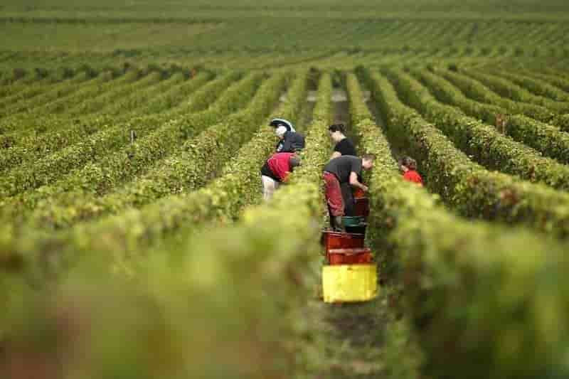 bourgogne