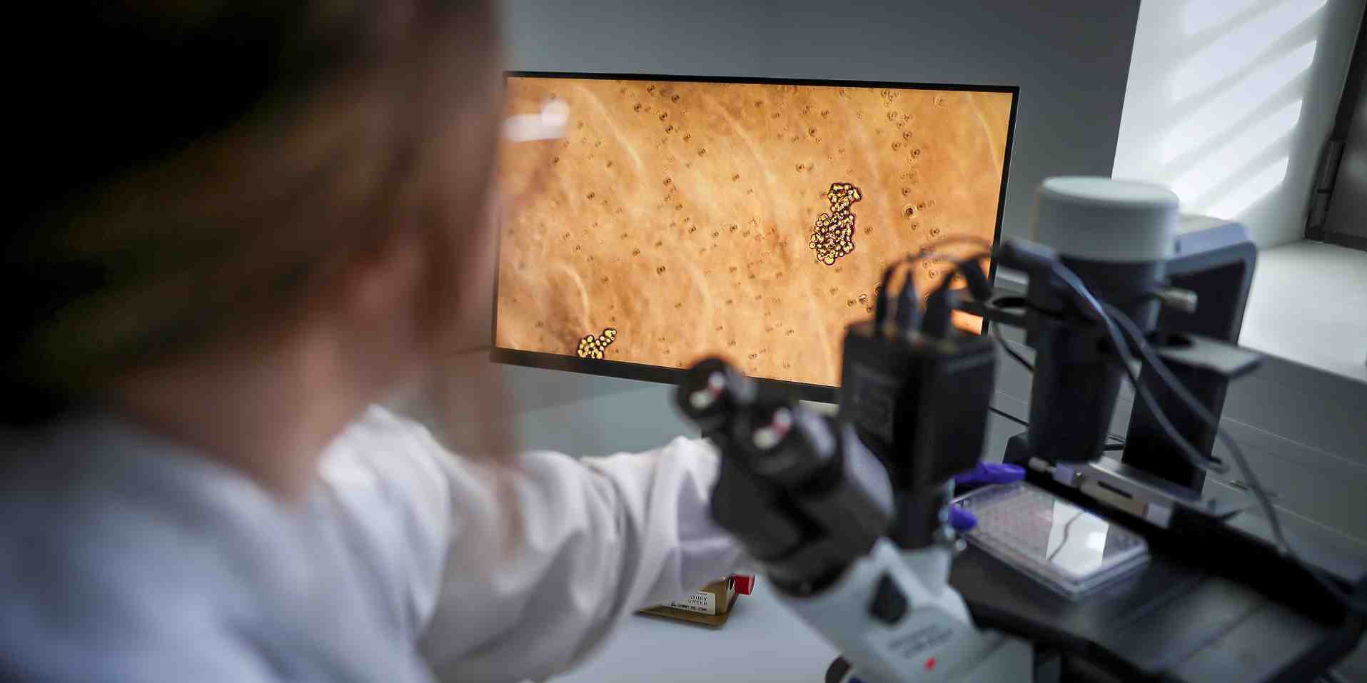 Un projet sur 5 ans d'un jeune chercheur américain coûte 2 millions de dollars.