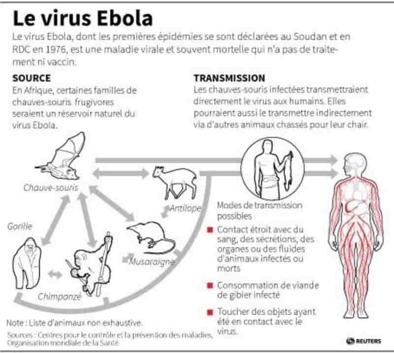 Pour combattre la fièvre Ebola, le Liberia ferme les écoles