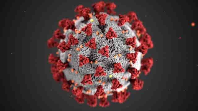 sars-cov-2 microorganism covid