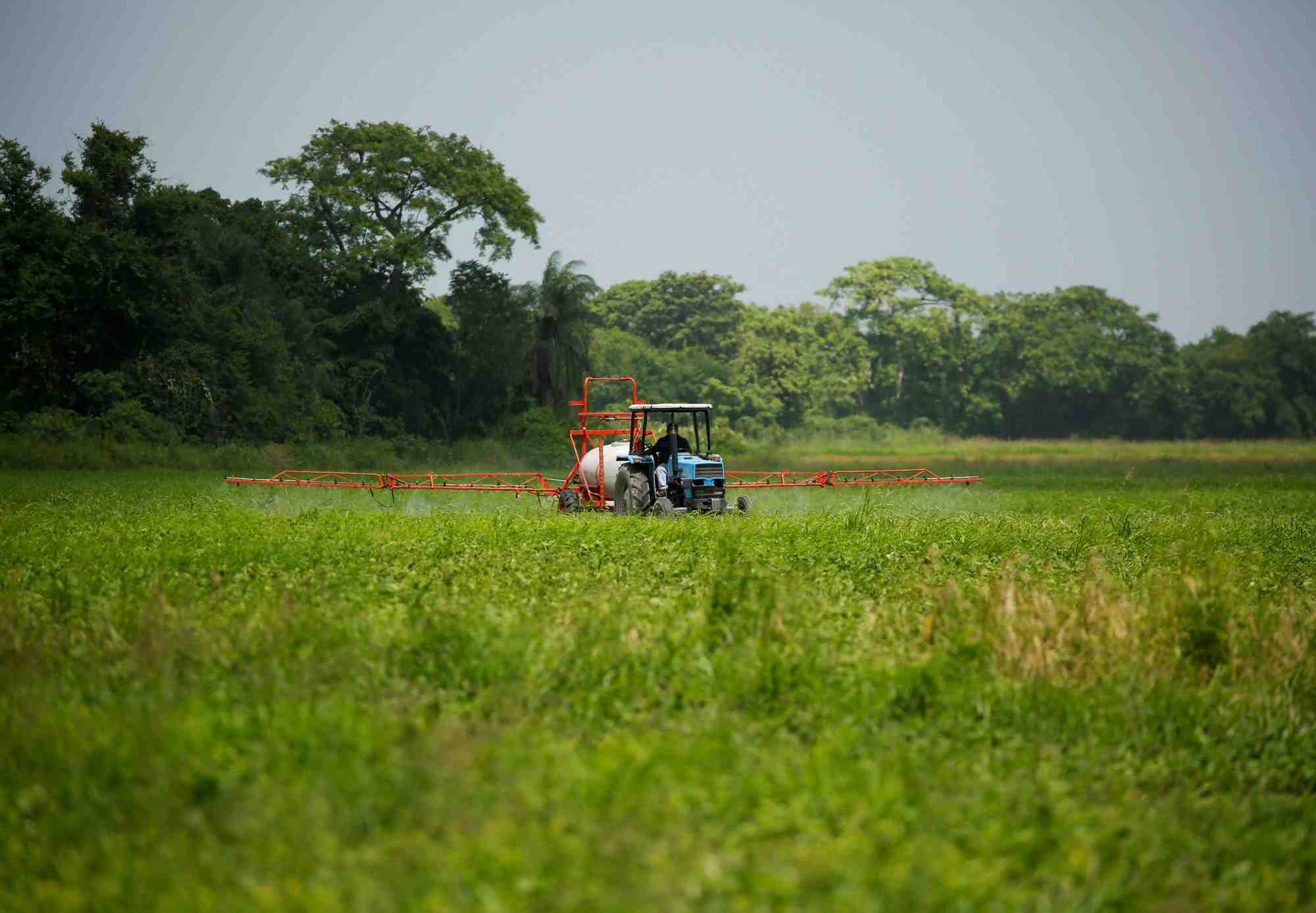 France: un decret reconnait les cancers de la prostate lies aux pesticides comme maladie professionnelle