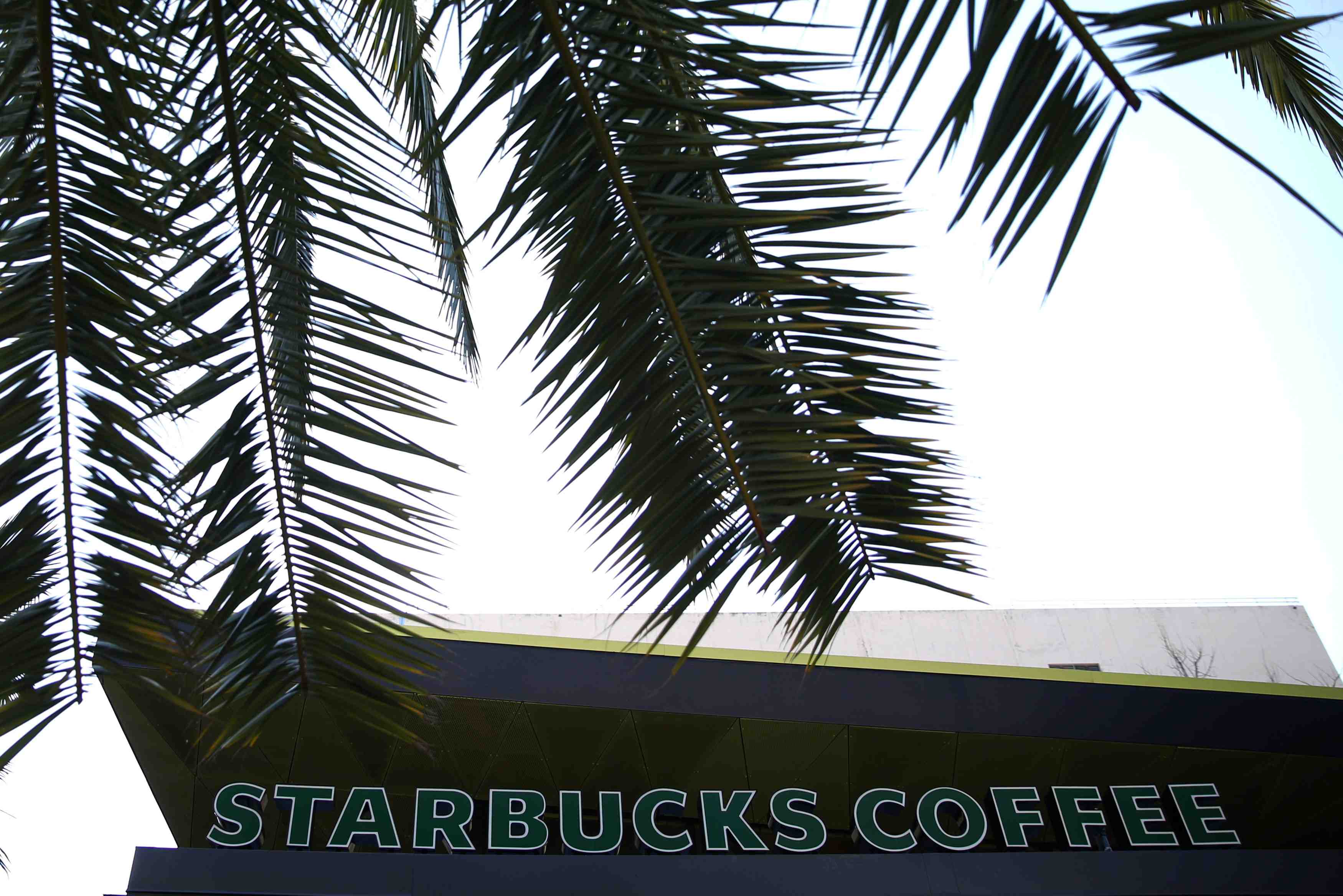 Starbucks promet de recruter 10.000 refugies en 5 ans