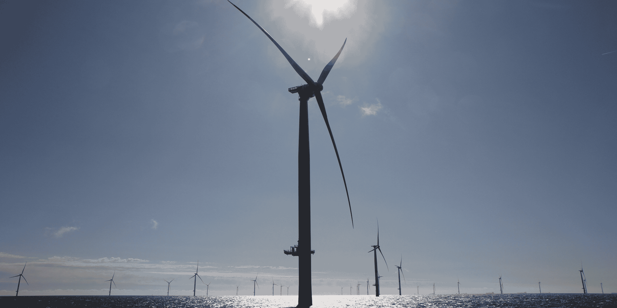 L'Allemagne vise une capacité d'éolienne offshore de 30 GW à l'horizon 2030, contre a pour l'instant 8 GW d'éolien installé en mer.