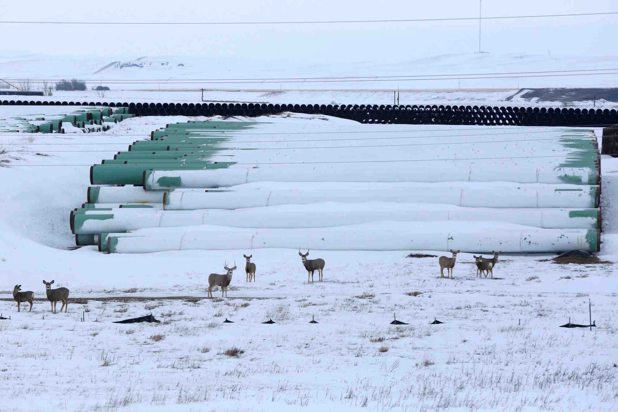 Le projet Keystone XL avait été abandonné en 2021 sous Joe Biden.