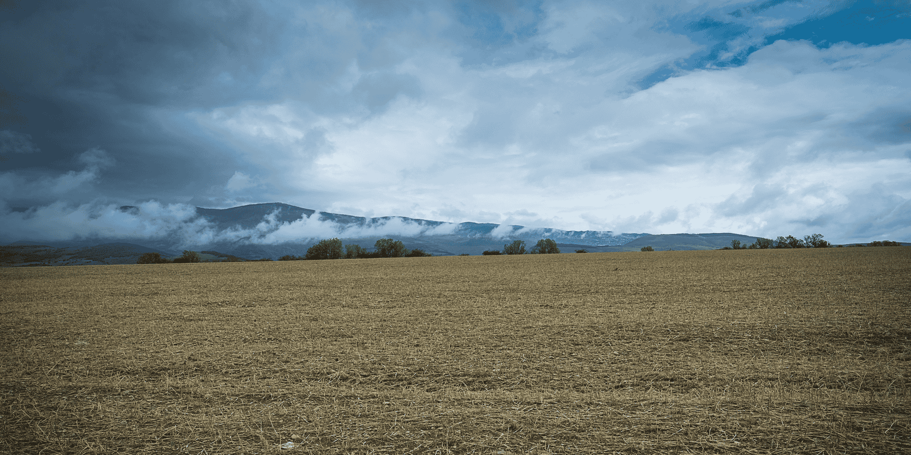 Foncier rural