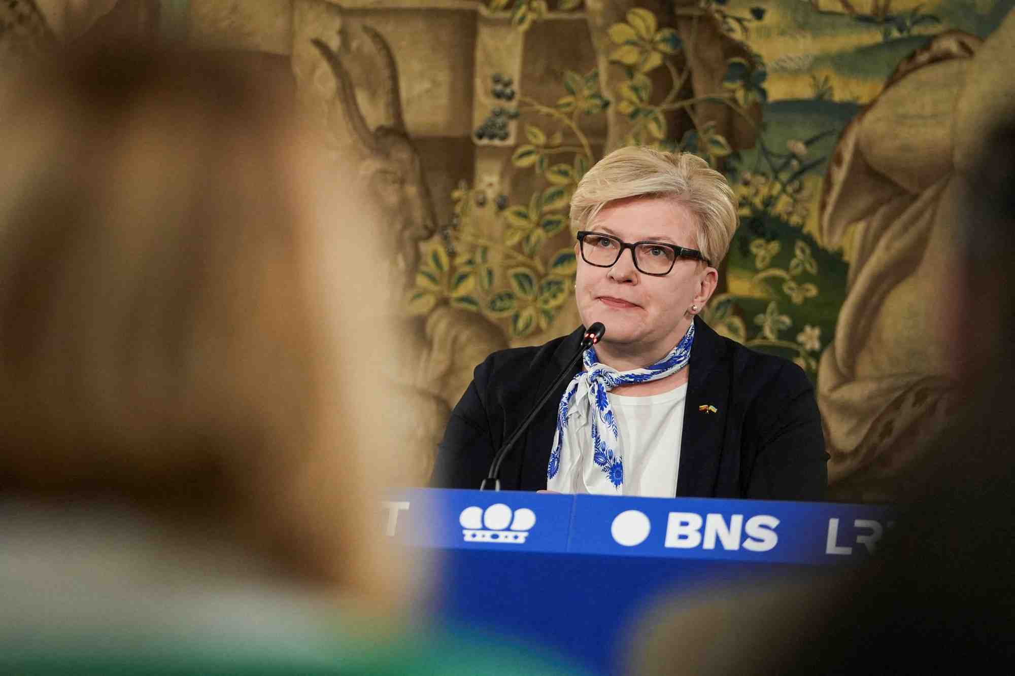 La premiere ministre lituanienne ingrida simonyte a vilnius