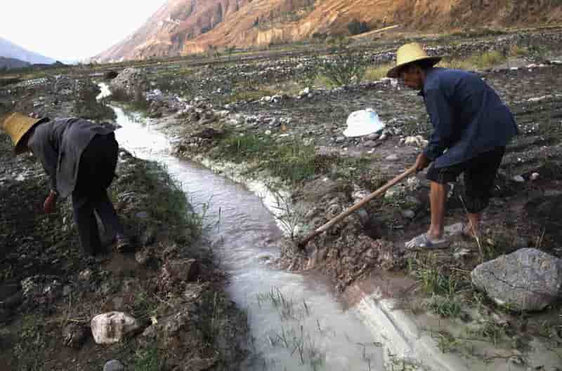 Sécurité alimentaire et environnement rural priorités de la Chine