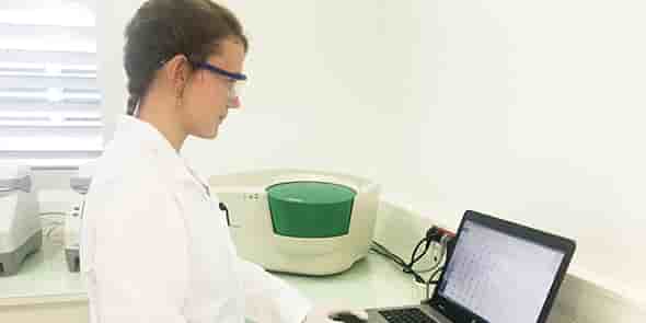 Stem Genomics