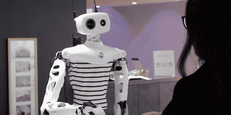 Pollen Robotics - Reachy rend service