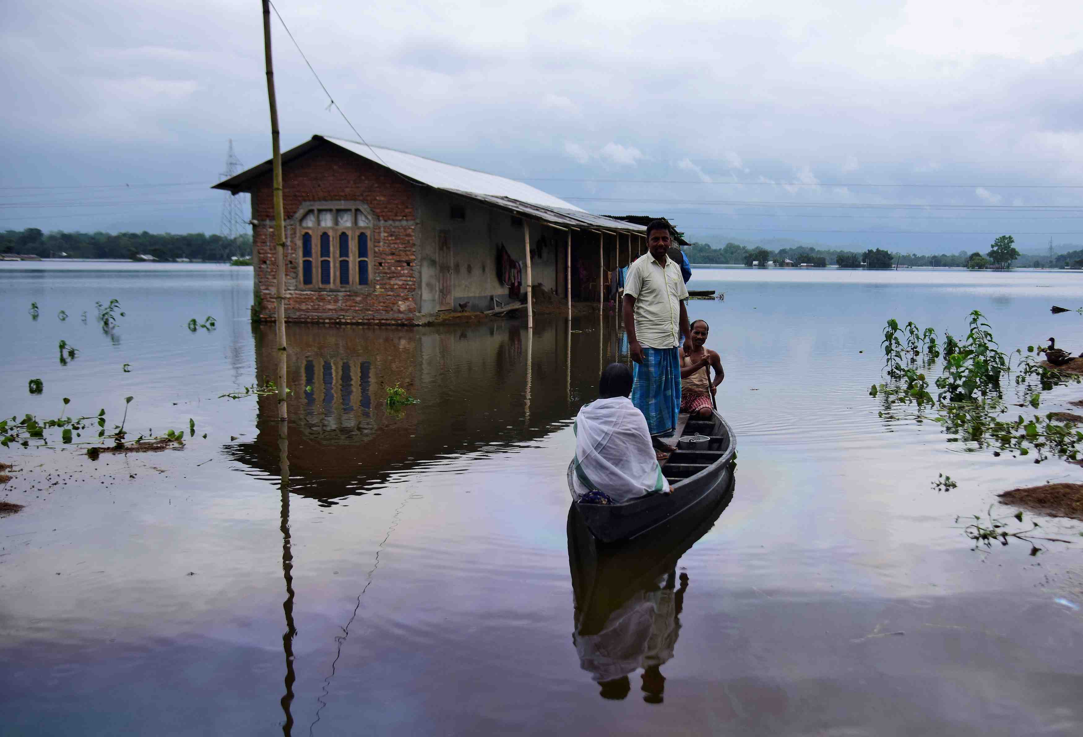 Les inondations s'aggravent en inde, menacant hommes et rhinoceros