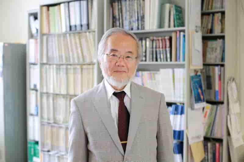 Le japonais yoshinori ohsumi, nobel de medecine