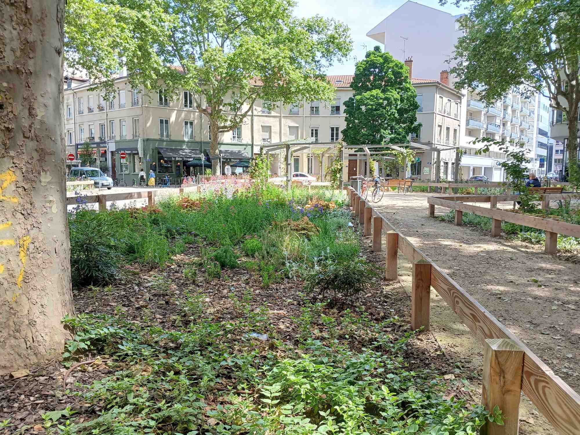 La place Danton, dans le 3e arrondissement de Lyon, a été complètement réaménagée à l'hiver 2023 : désormais, une pergola et des îlots végétalisés remplacent un ancien rond-point.