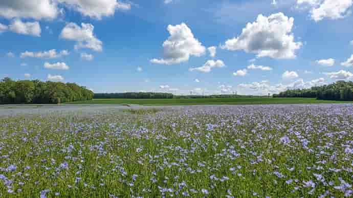 Safer Normandie jeunes agriculteurs