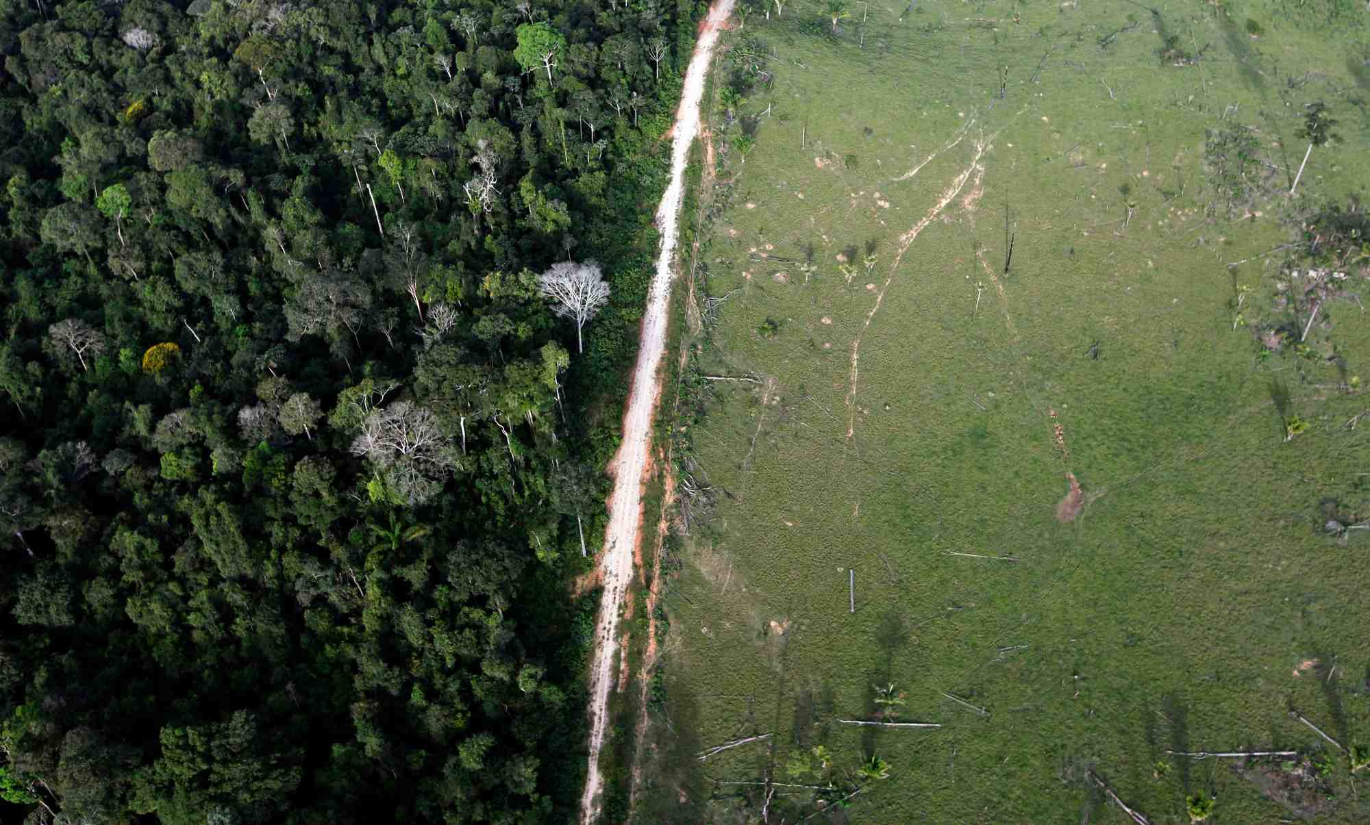 La deforestation en amazonie a augmente en 2020, selon une recente analyse