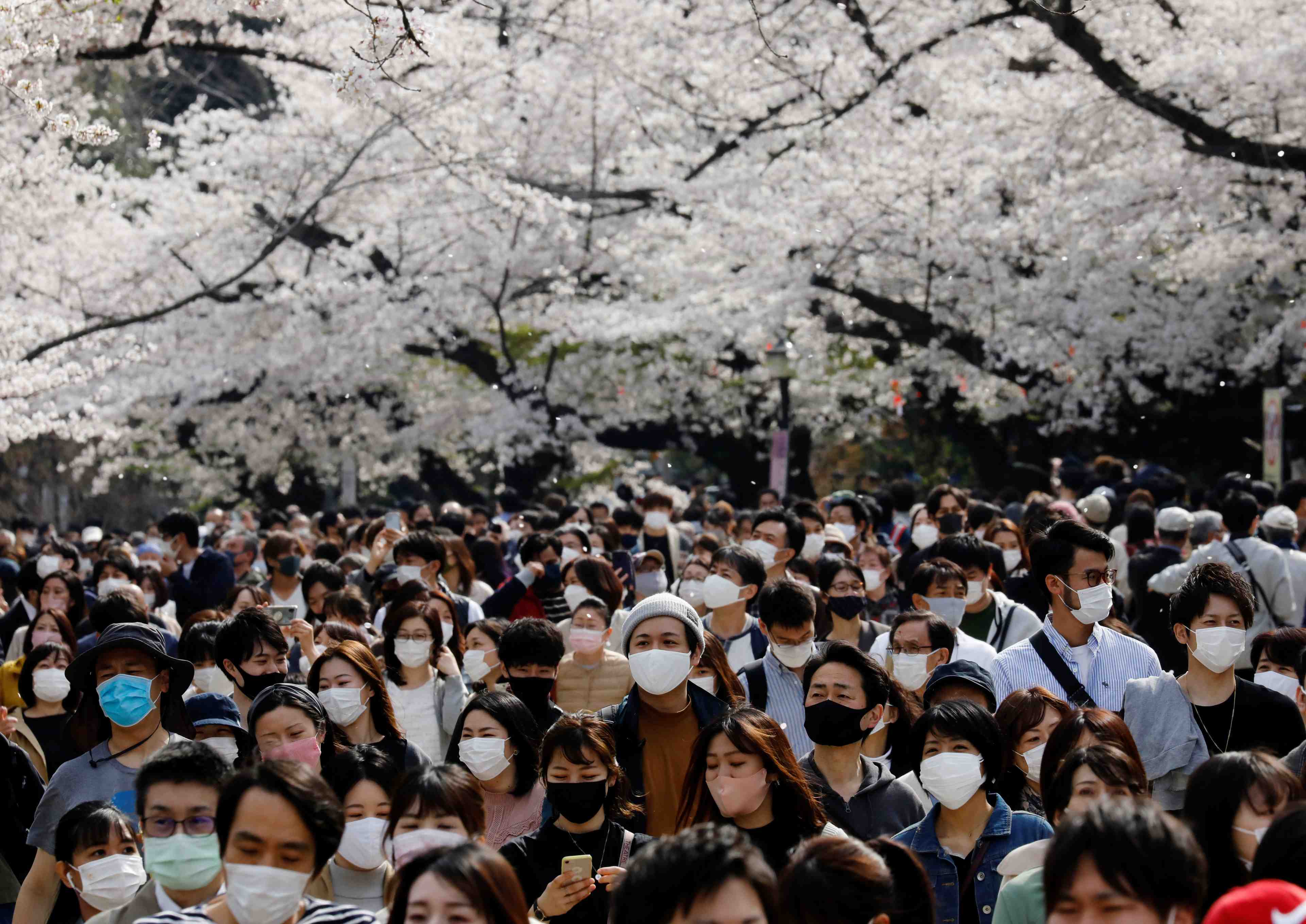 Coronavirus/japon: nombreux cas de variant dans un hopital de tokyo
