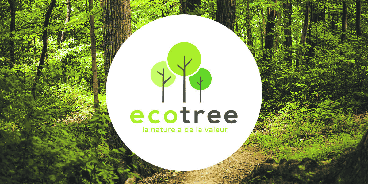 Les quelque 83 000 arbres plantés par EcoTree représentent 2,4 millions de kilos de CO2 absorbés.