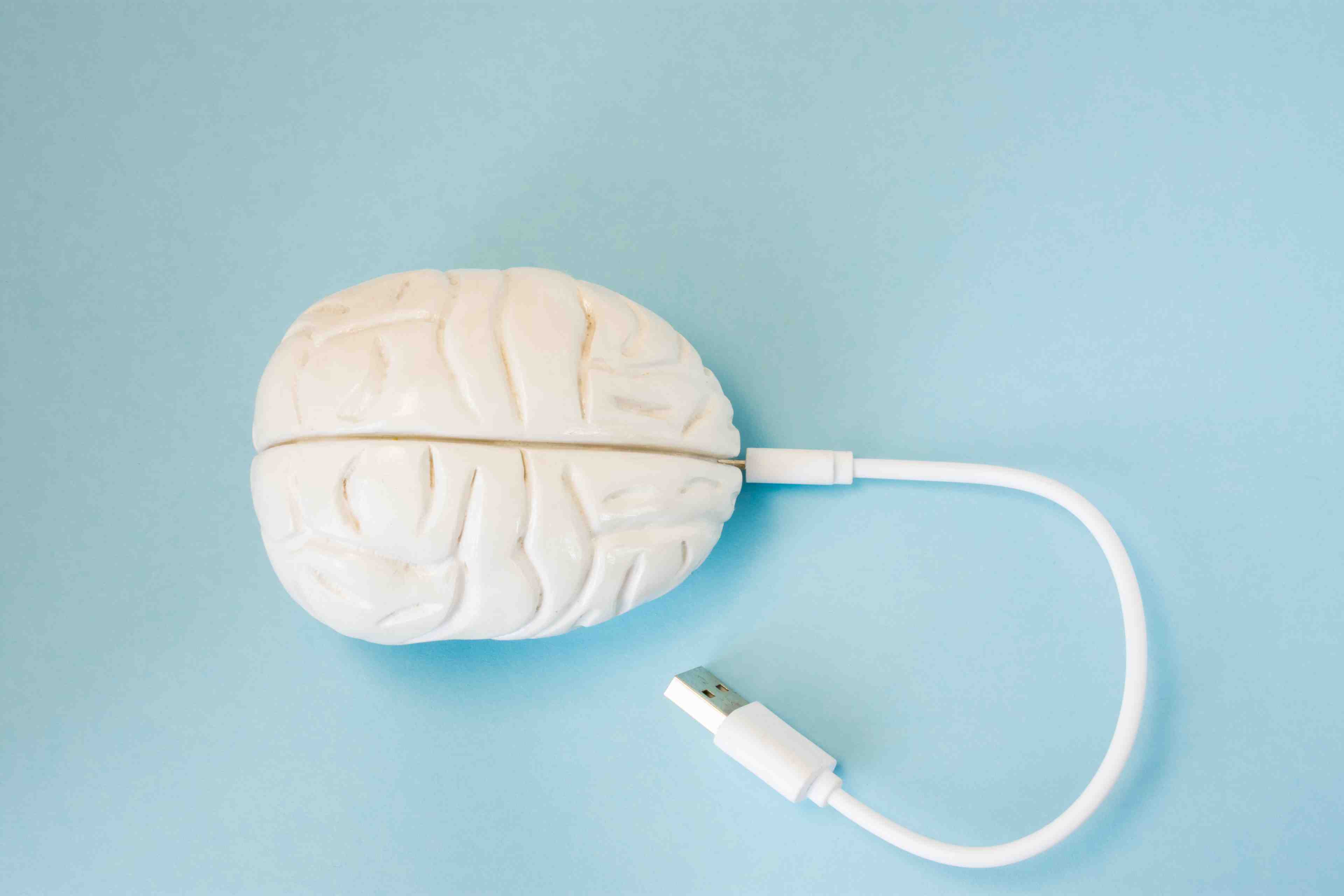 Neurosciences