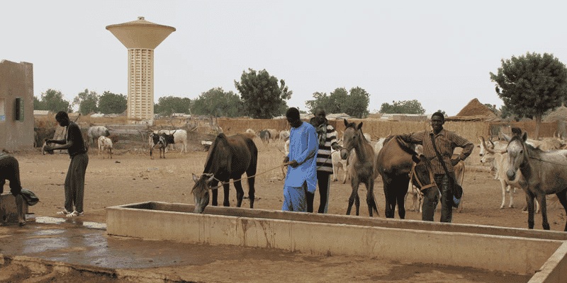 sénégal infrastructures village paysans