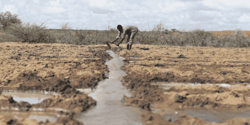 Agriculture terres irrigation labour