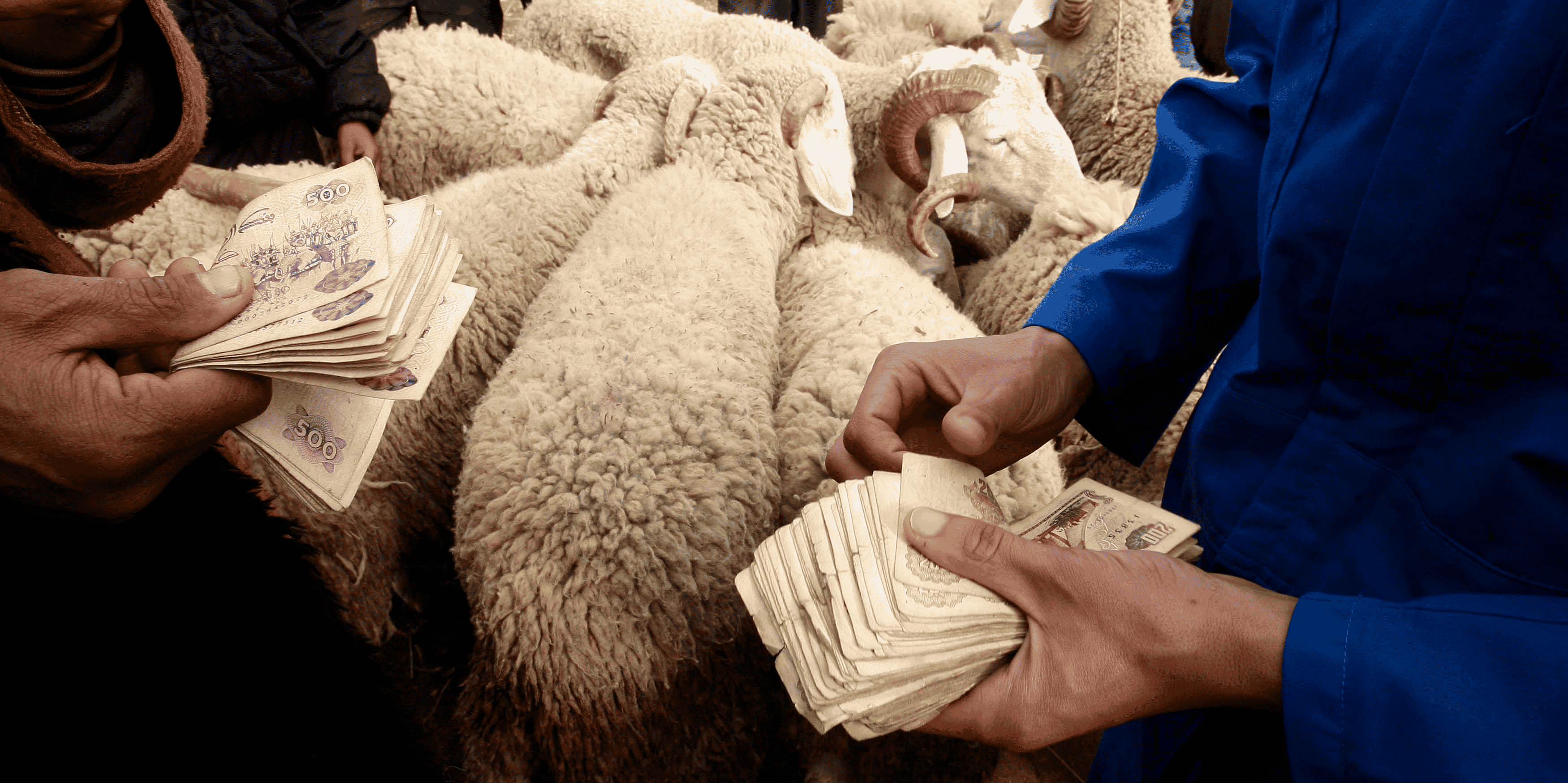dinars algériens