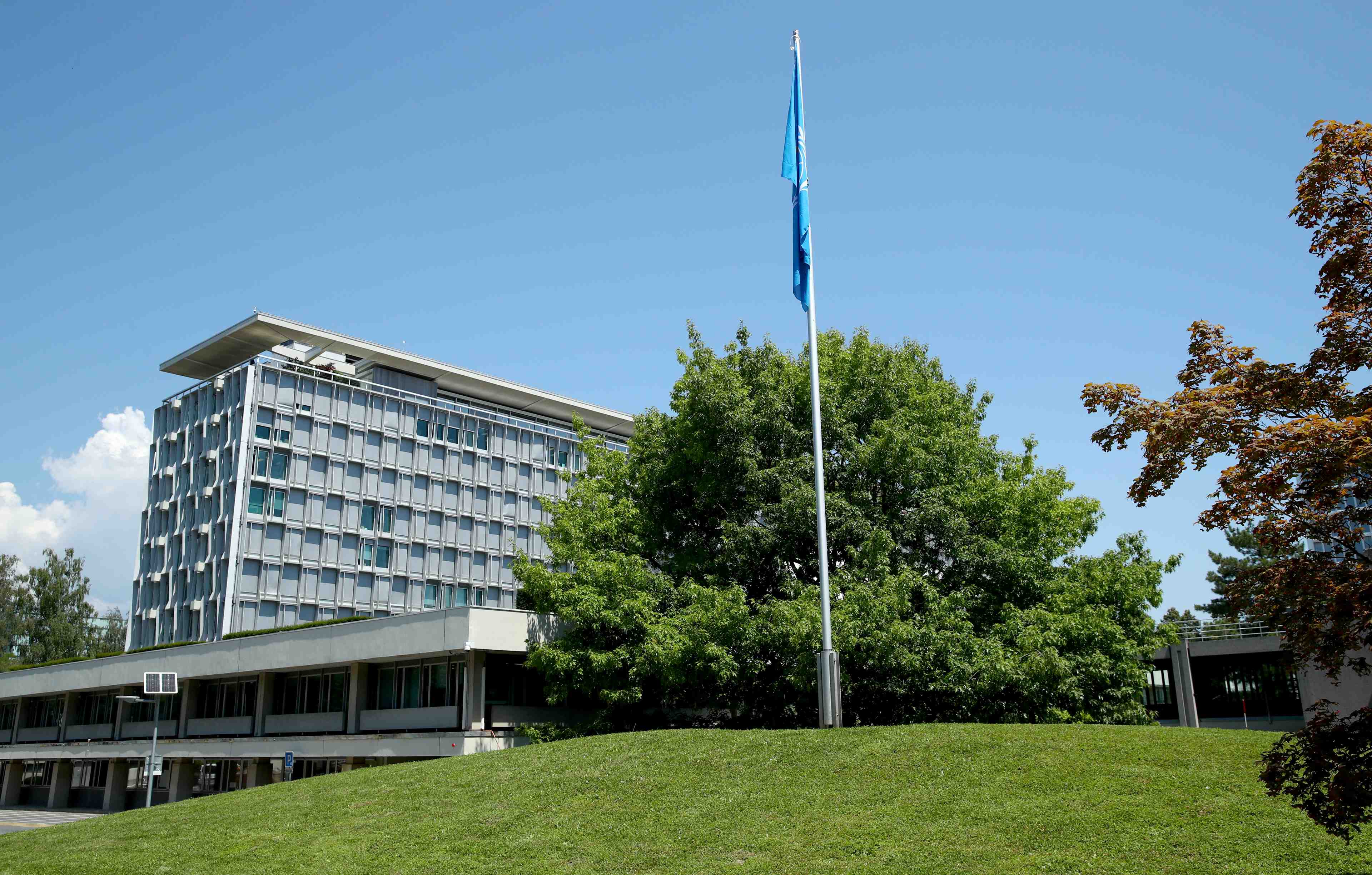Coronavirus: l'oms doit etre reformee, selon un groupe d'experts independants