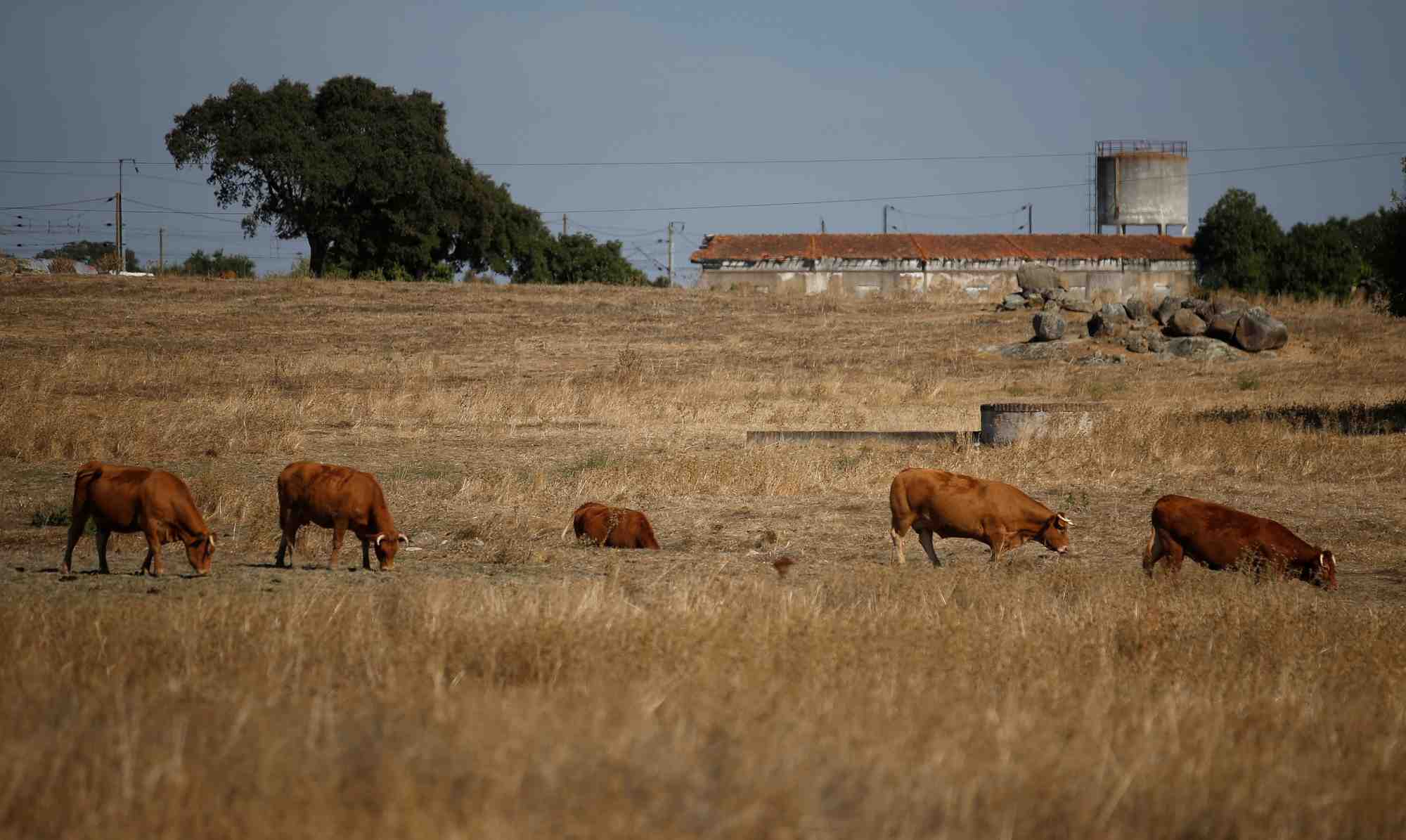 La region de l'alentejo, au portugal
