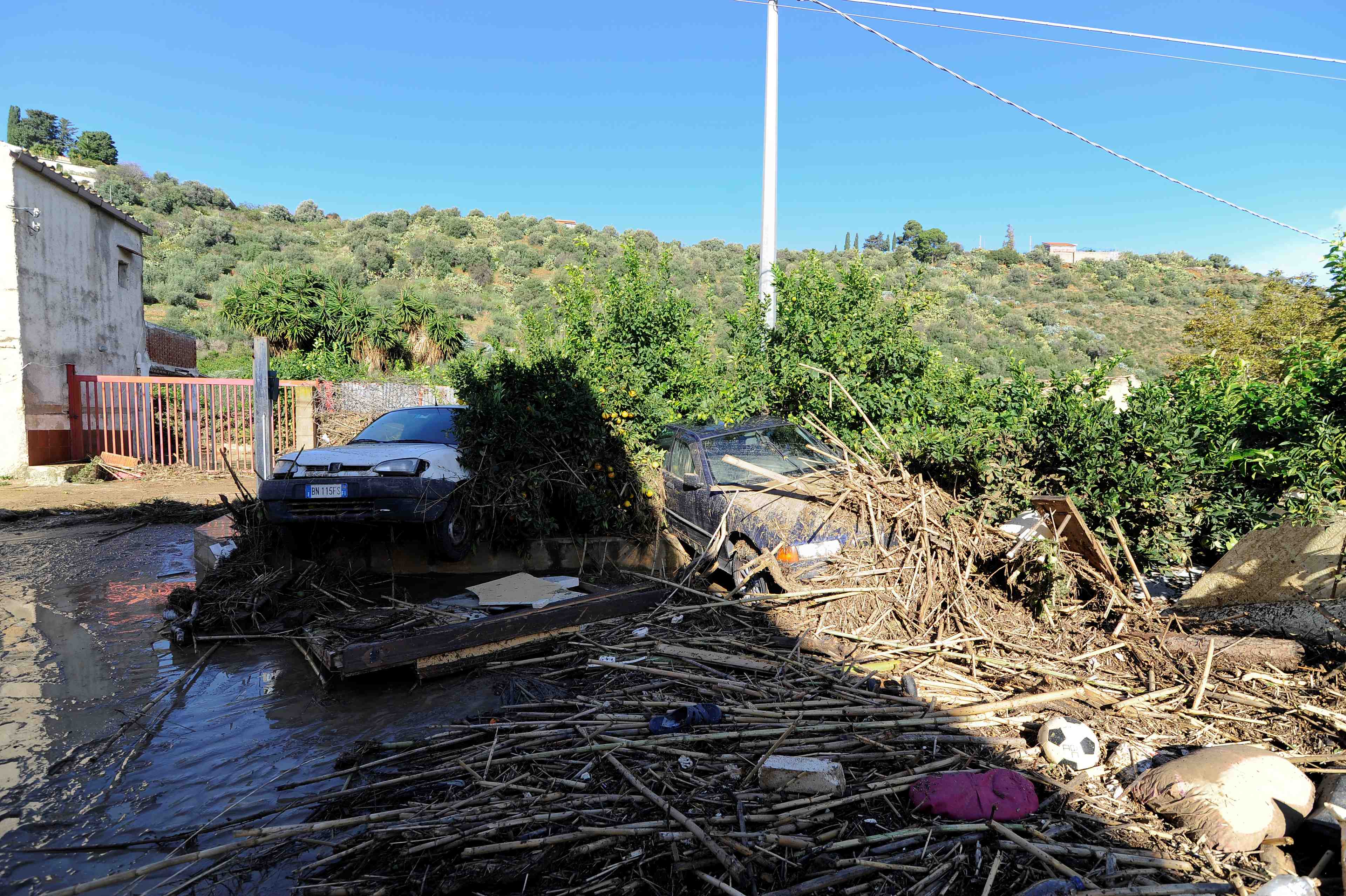 Italie: la tempete a fait un 17e mort et detruit nombre d'arbres
