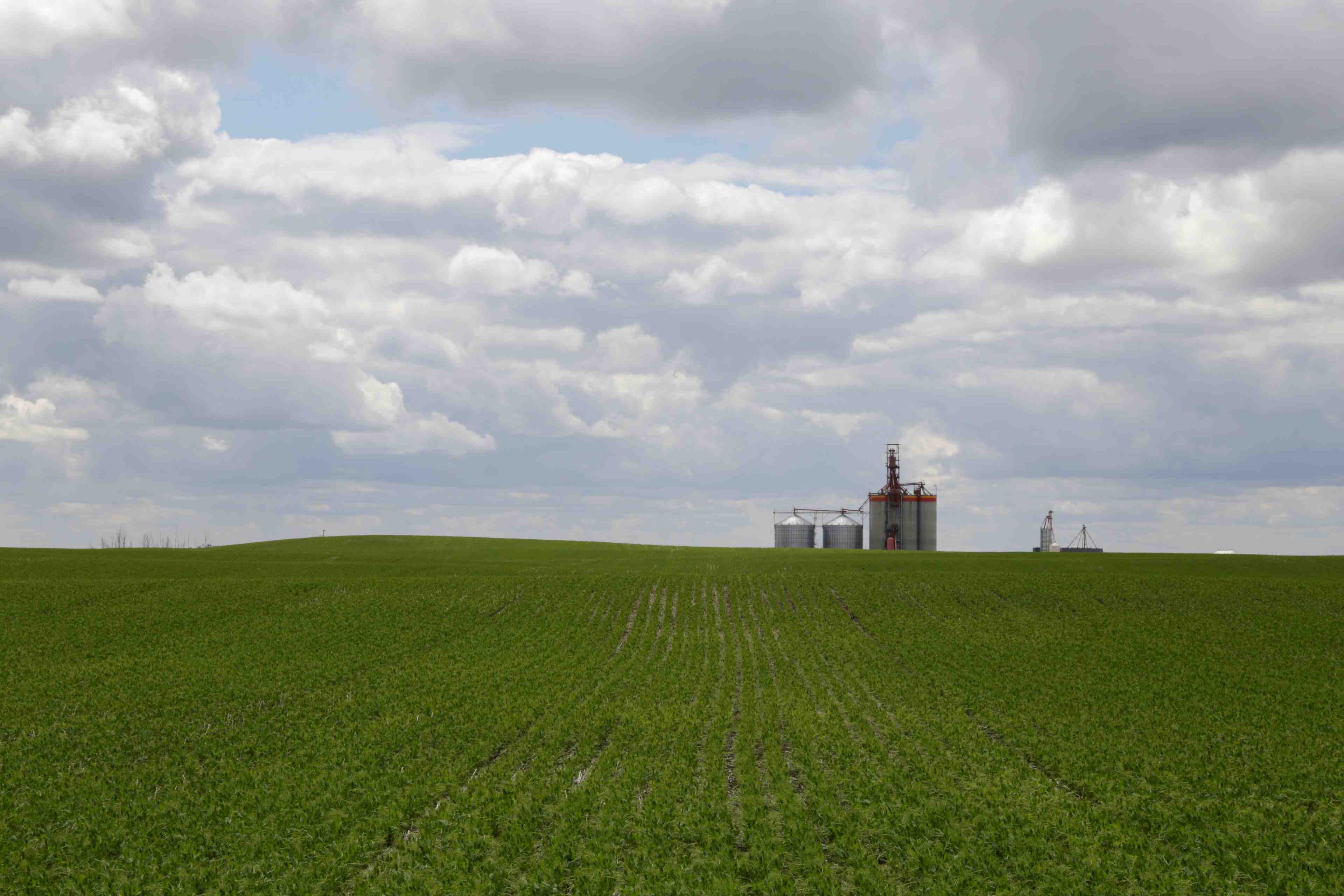 L'ocde espere une relance des reformes des politiques agricoles