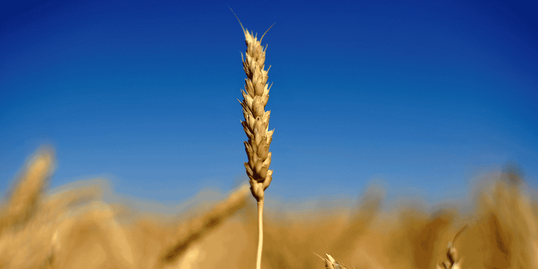Illustration. L'étude sera publiée au premier semestre 2020 et diffusée lors du salon CFIA (Carrefour des fournisseurs des industries agroalimentaires).