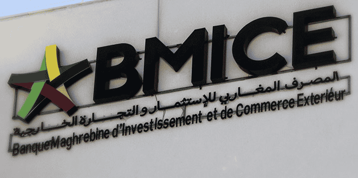 BMICE