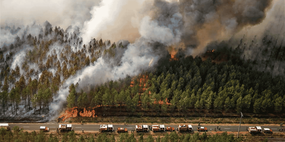 Incendie de Landiras. Reprise en août 2022
